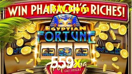 Benefícios da Conta 559x